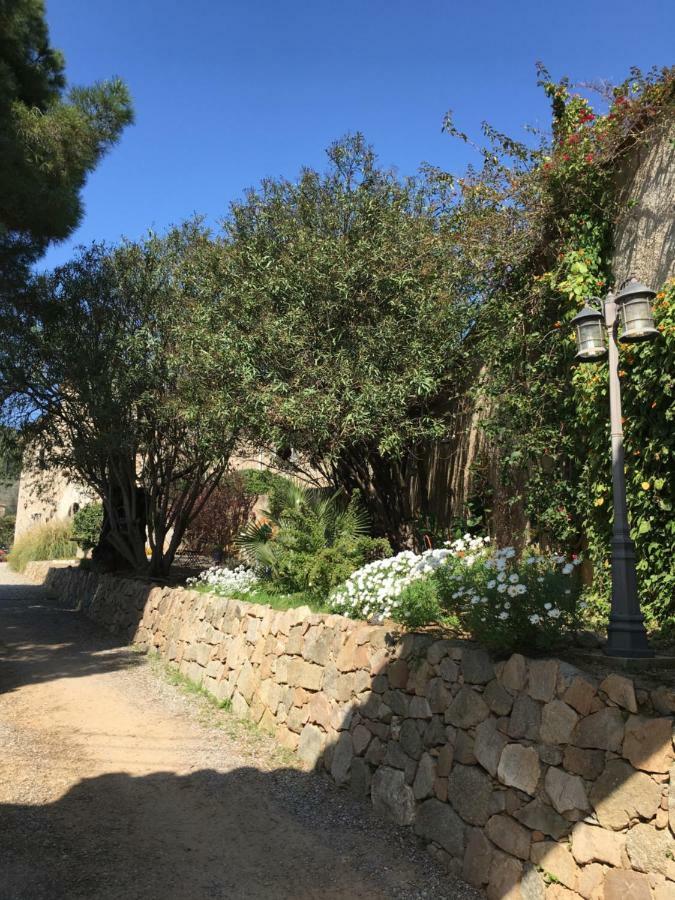 Hotel Masia Can Vive