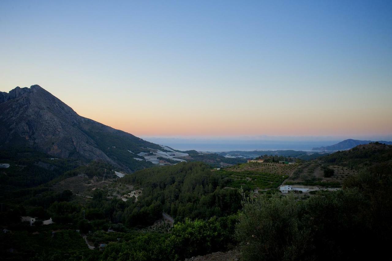Bed & Breakfast Oliva