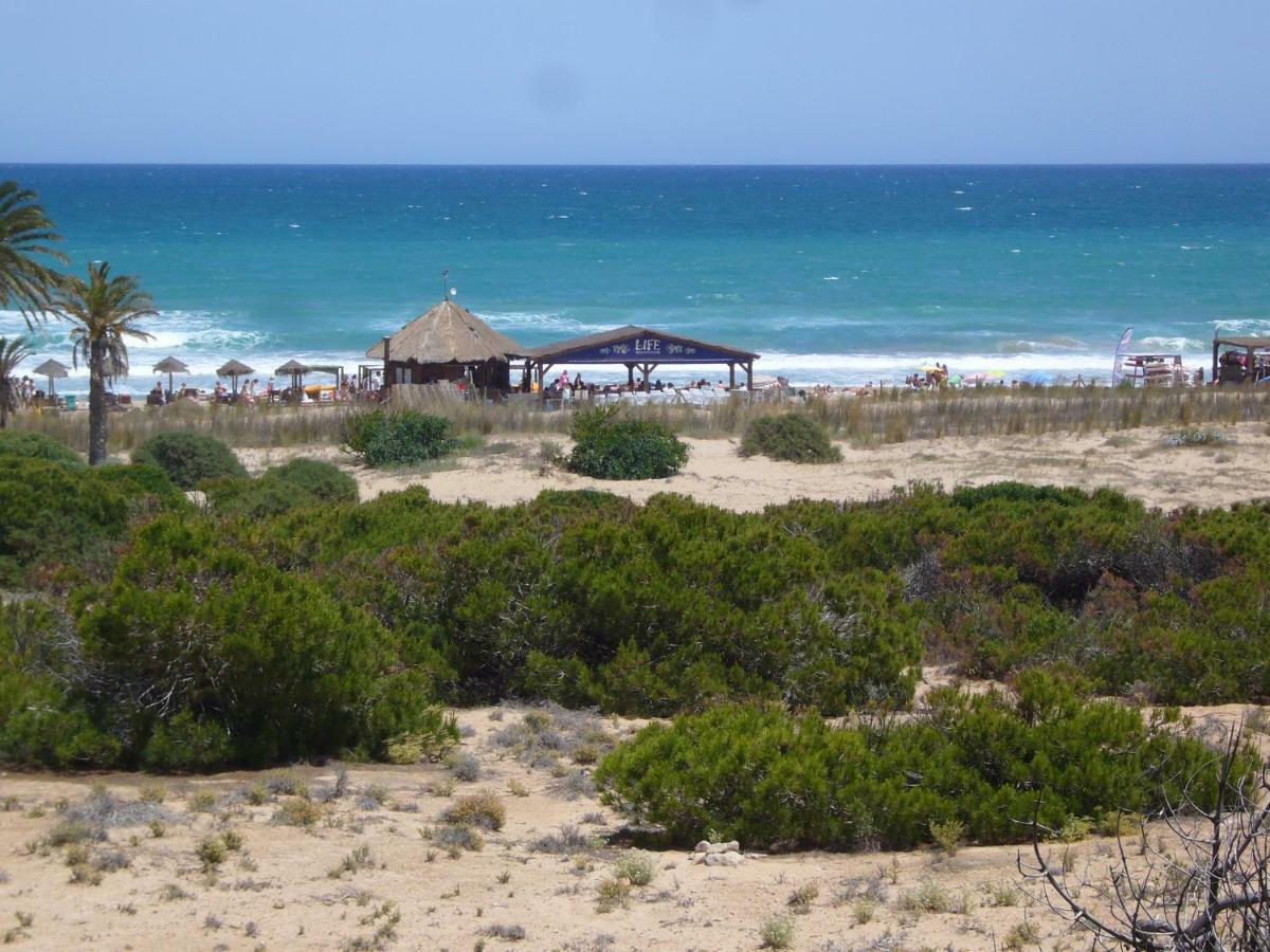 Descansa Y Disfruta De Mejores Playas Apartamento