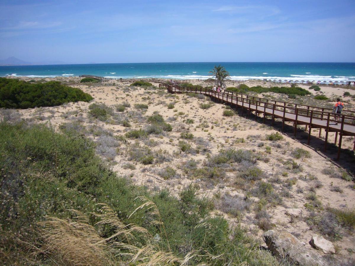 Apartamento Descansa Y Disfruta De Mejores Playas Arenales del Sol
