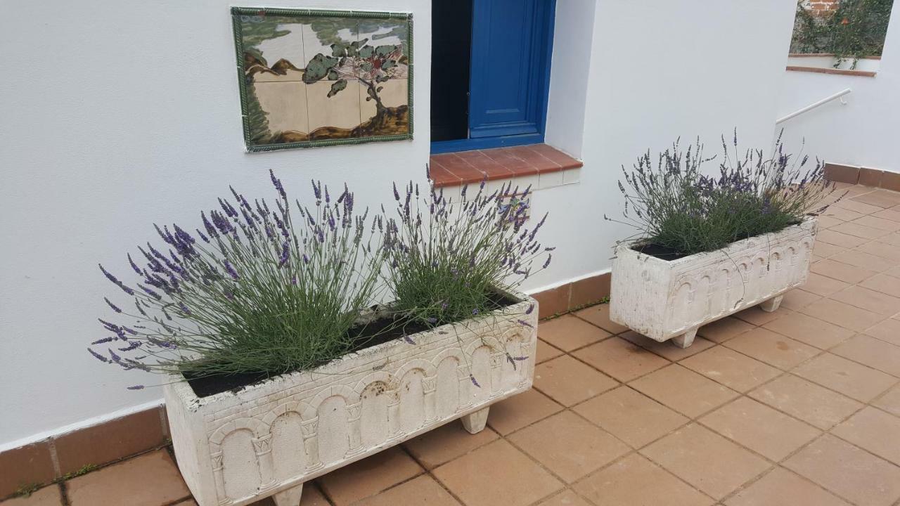 Apartment Lloret Lloret de Mar