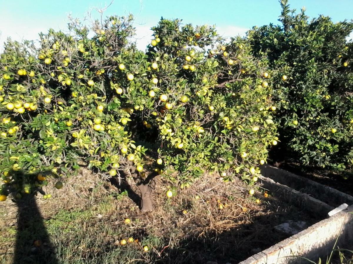 Chez Berna - Se Alquila * Denia