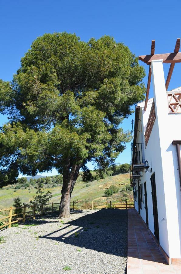 Casa Grande / Rosas Cantares *