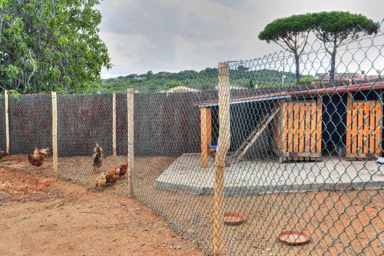 Masia Cal Ros Apartamento