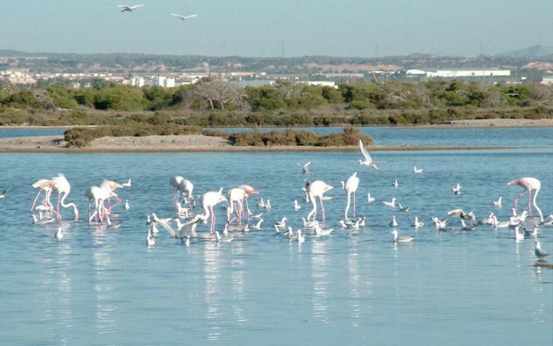 Apartamento Mar Menor Bonitas Vistas Y Wifi