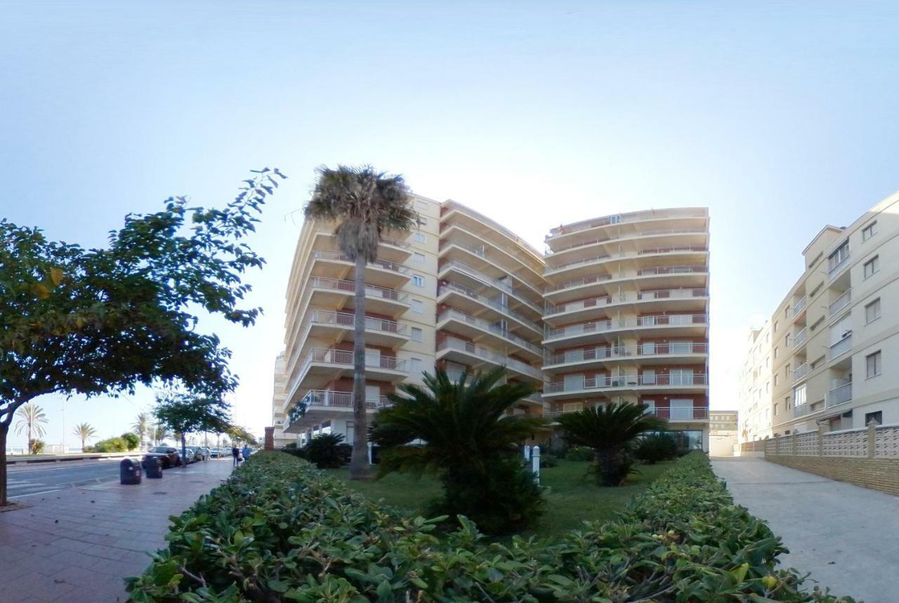 Preciosos Caracola En La Primera Linea De La Playa De Gandía