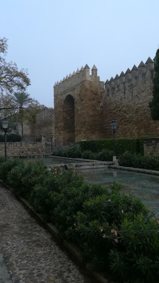 Apartamento A Escasos Metros De La Mezquita *