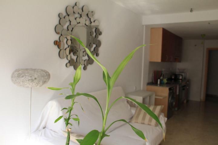 Sunny Apartments, Centre Apartment