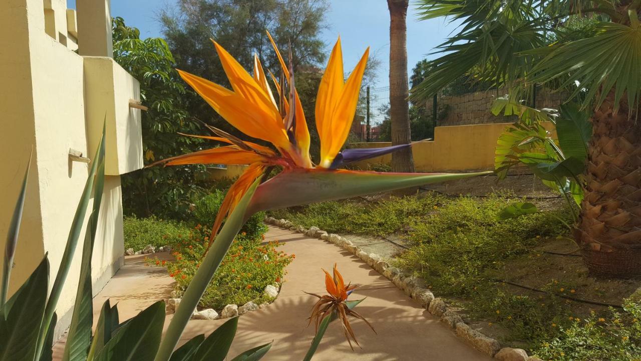 Duquesa Village *