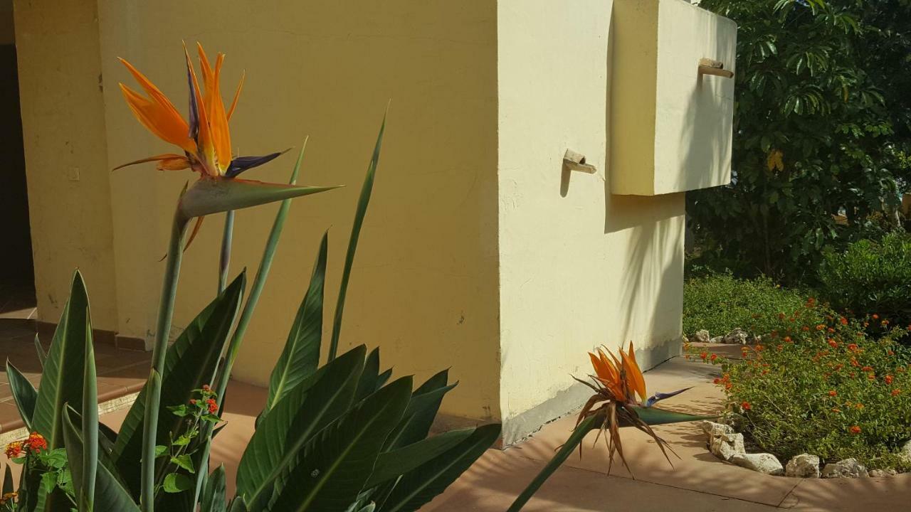 Apartment Duquesa Village Manilva