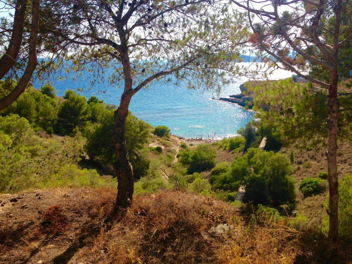 Guest house Guesthouse Villa Altea Altea