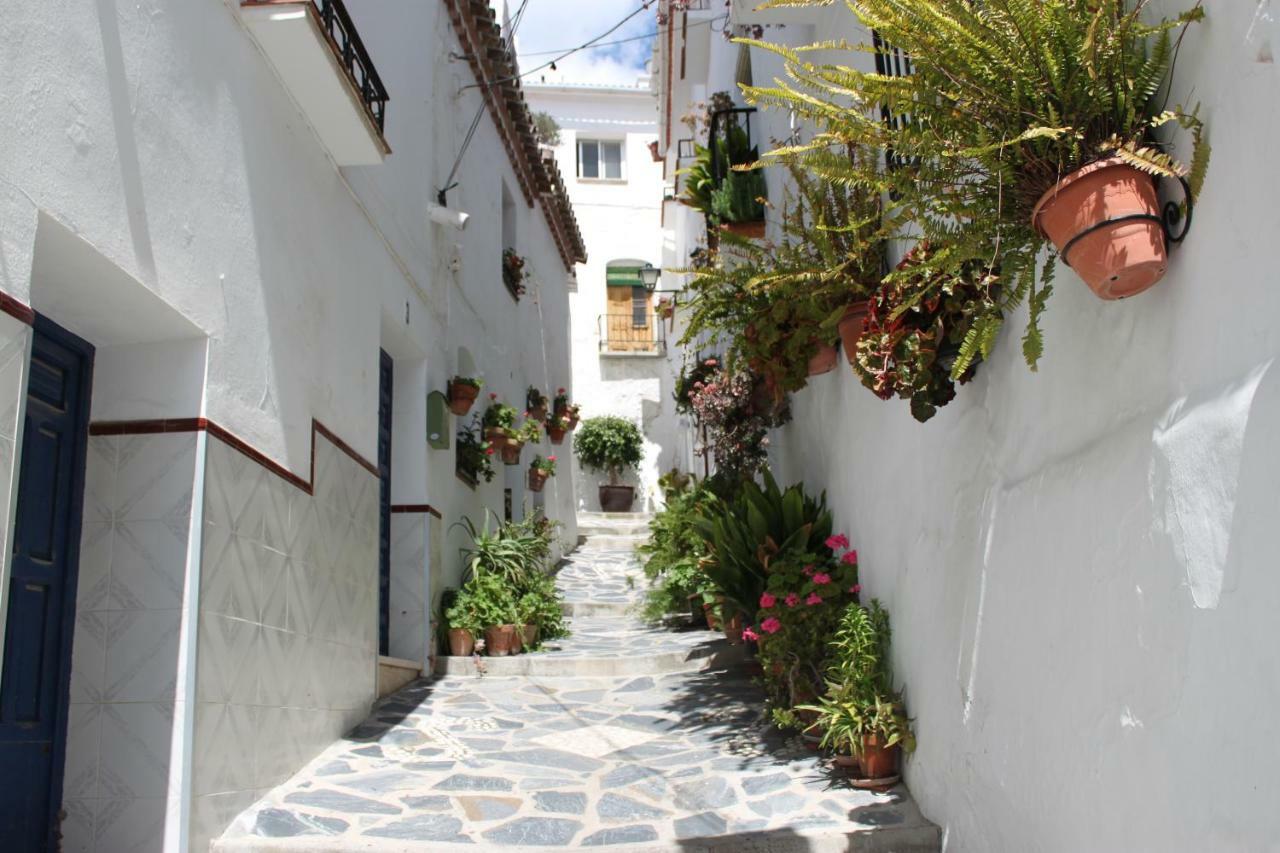 Apartamento Casadubislav Canillas de Albaida