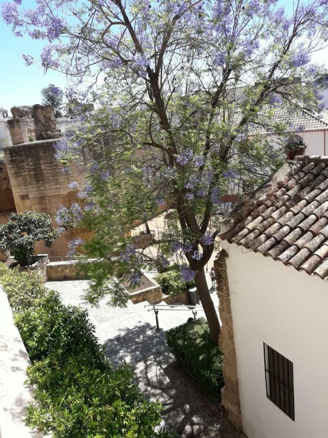 Tejares Del Alcazar Apartamento *