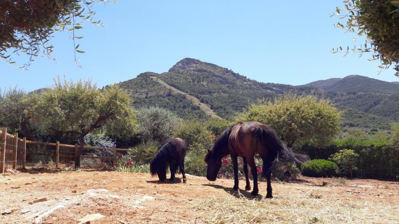 Bed and breakfast Roca Vista, Adults Only 3*