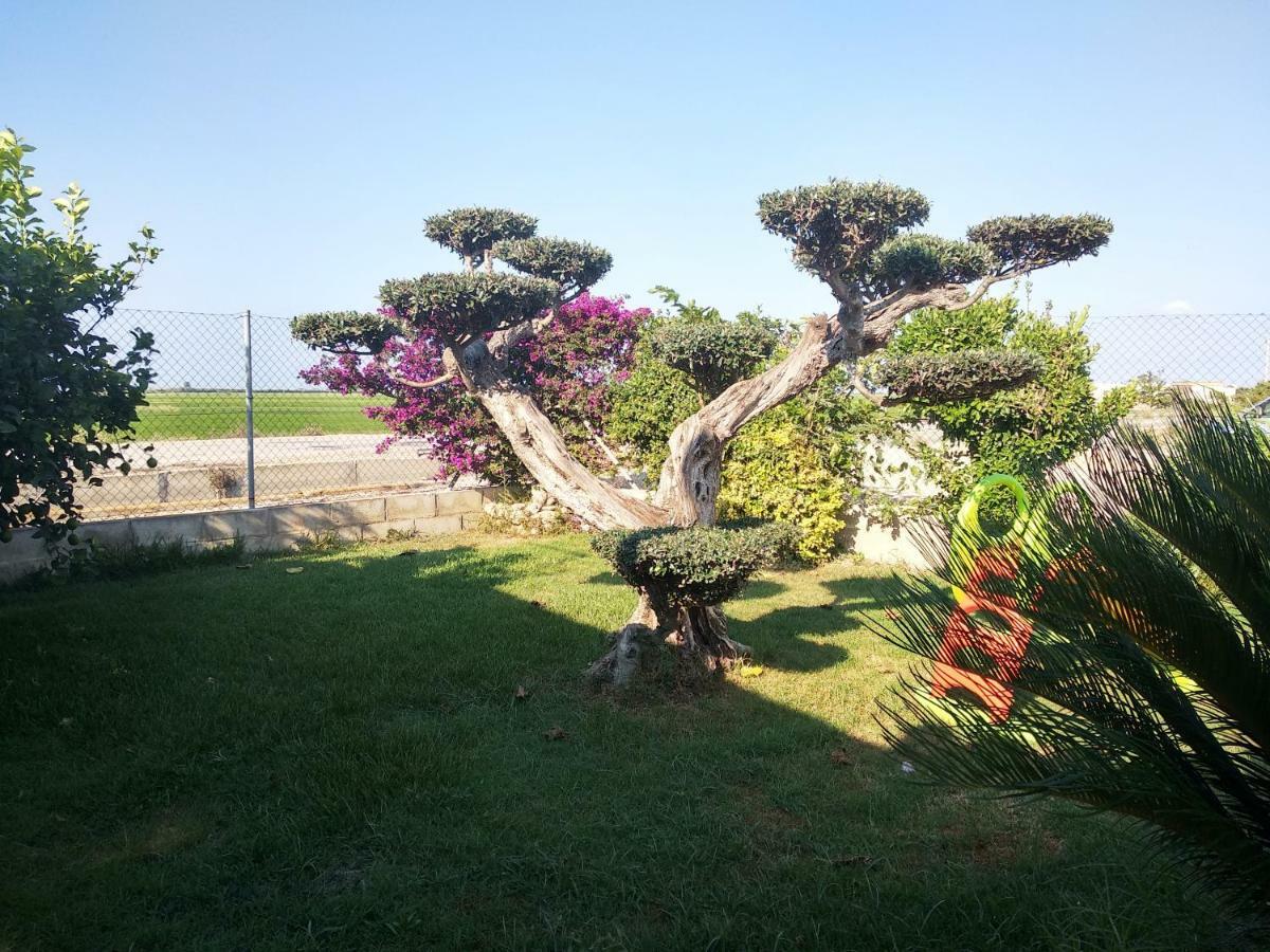 Сasa de vacaciones Caseta Rovira Deltebre