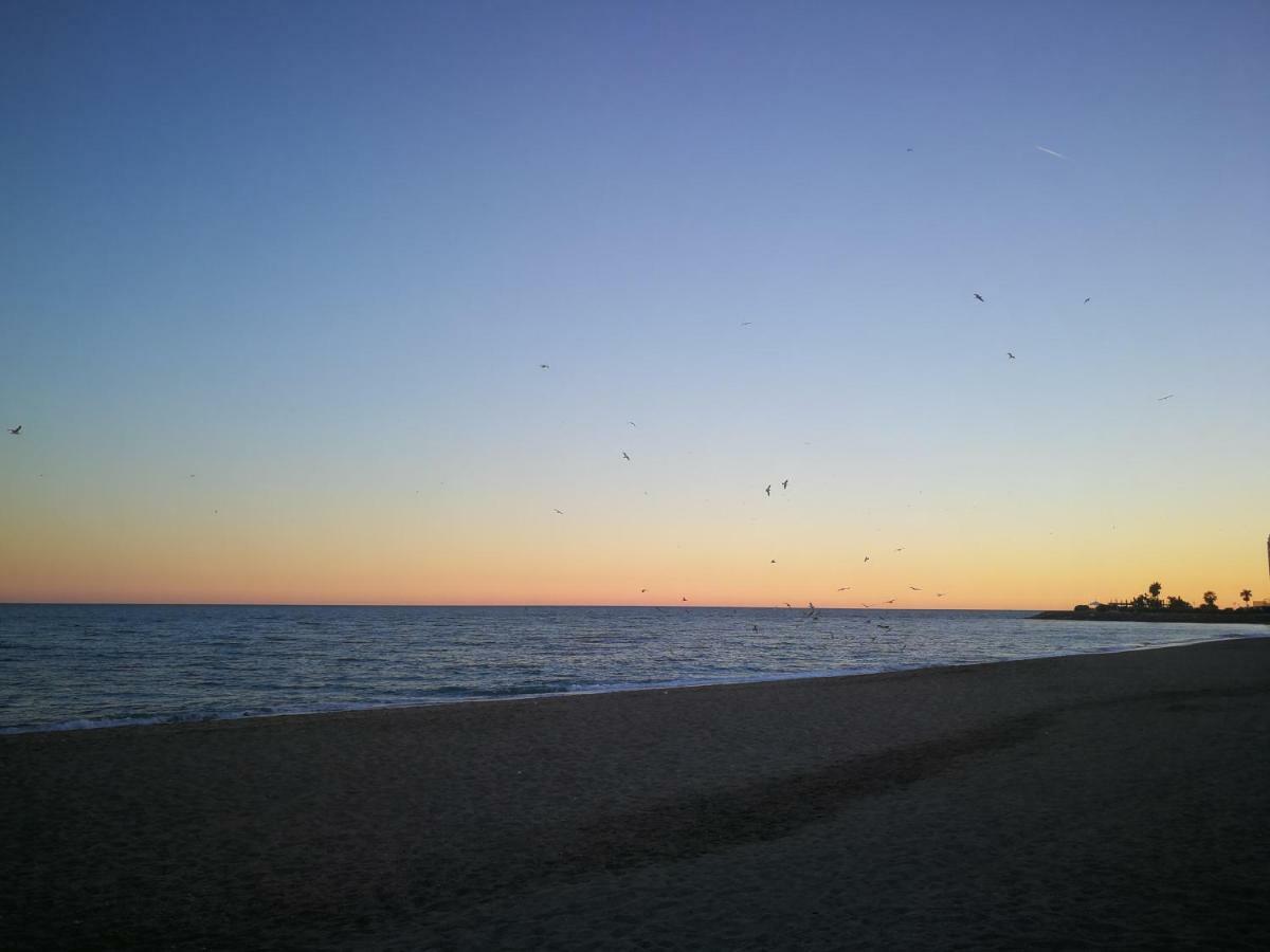 Bed & Breakfast ,apartamento-estudio Primera Linea De Playa *