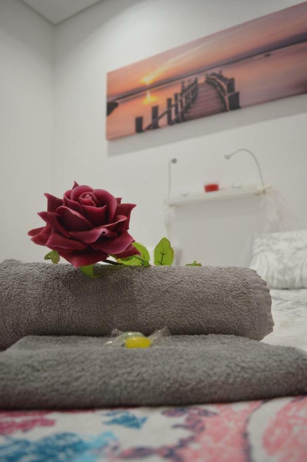 Homestay Logan Bilbao