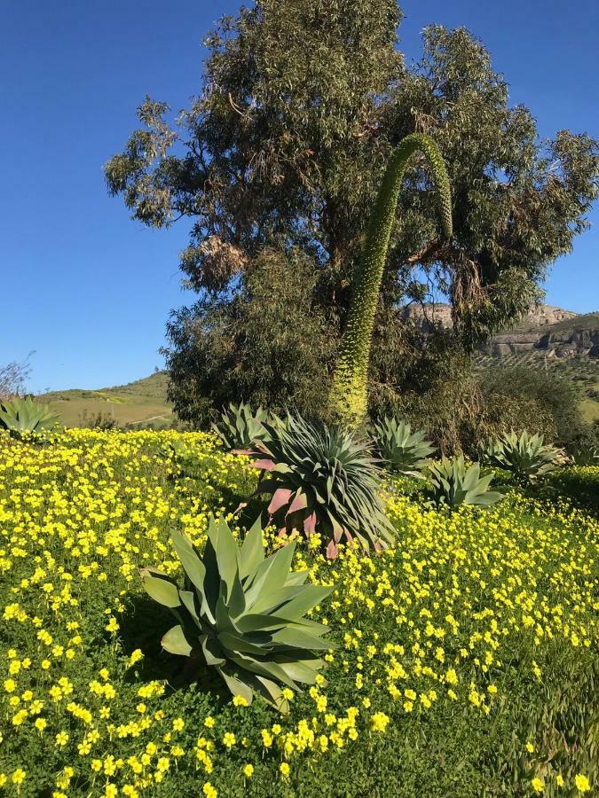 Casa Grande / Rosas Cantares Сasa de vacaciones Pizarra