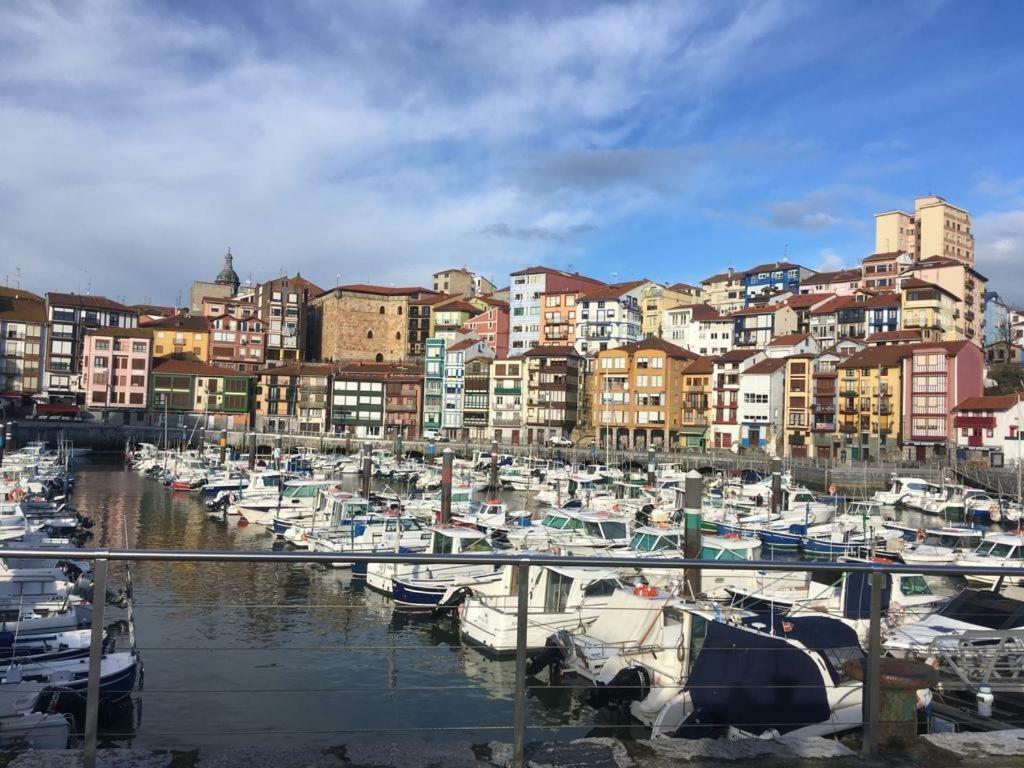 Urdaibai 2 *