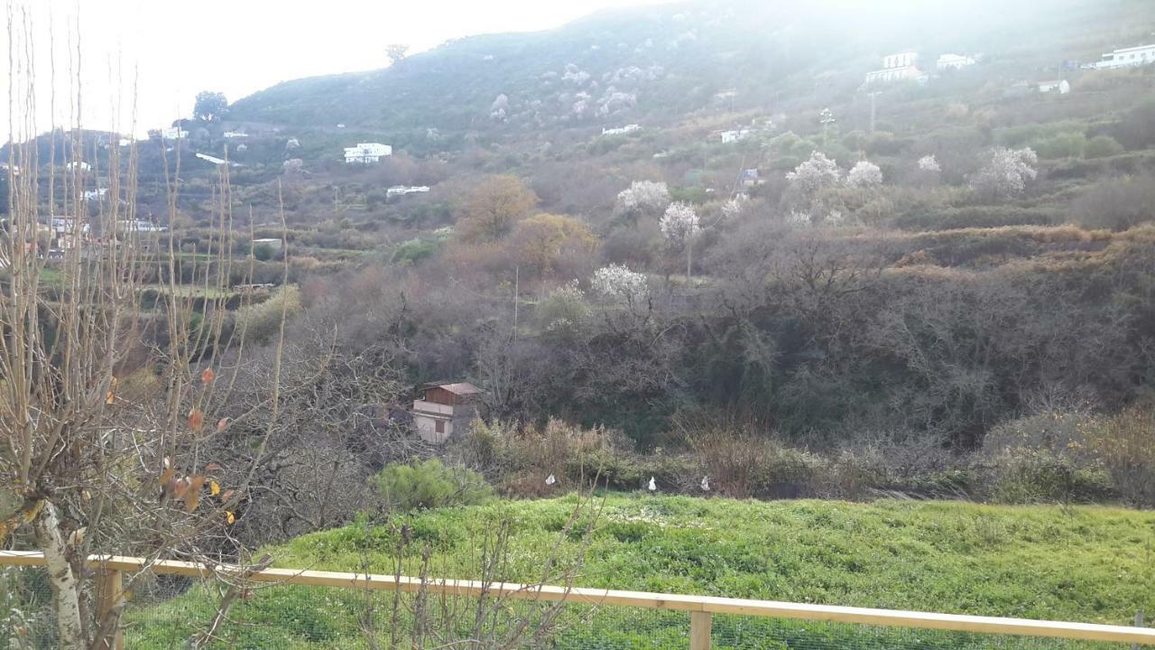 Casa rural Holiday Barranco La Mina