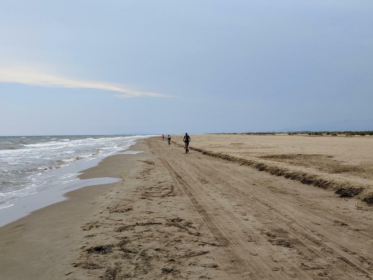 Holiday home Ca Na Vinyet El Poblenou del Delta