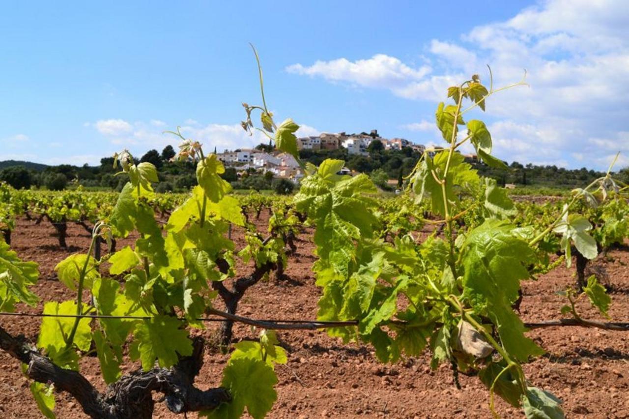Els Cups * Sant Vicenç de Calders