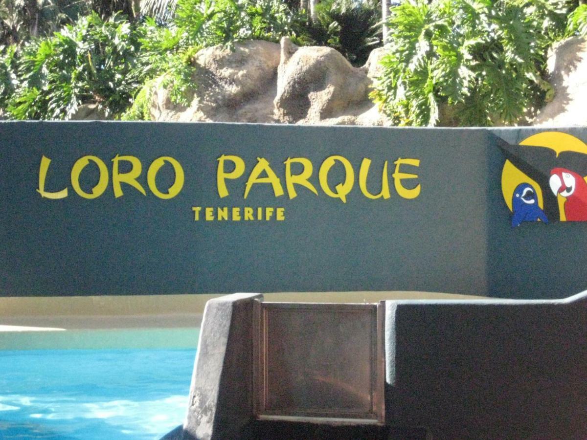 Paula Pool Adeje Apartamento