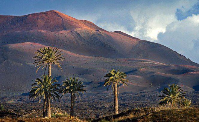 Calma, Ideal Familias Y Grupos