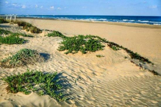 Acogedor Apartamento Canet De Berenguer Naturaleza Verde Y Playa