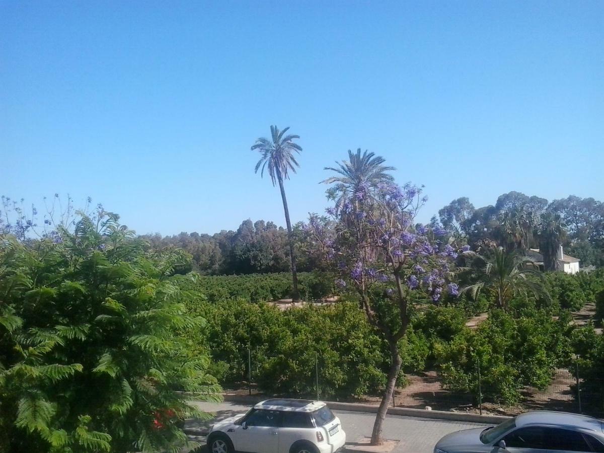 Apartment Acogedor Apartamento Canet De Berenguer Naturaleza Verde Y Playa *
