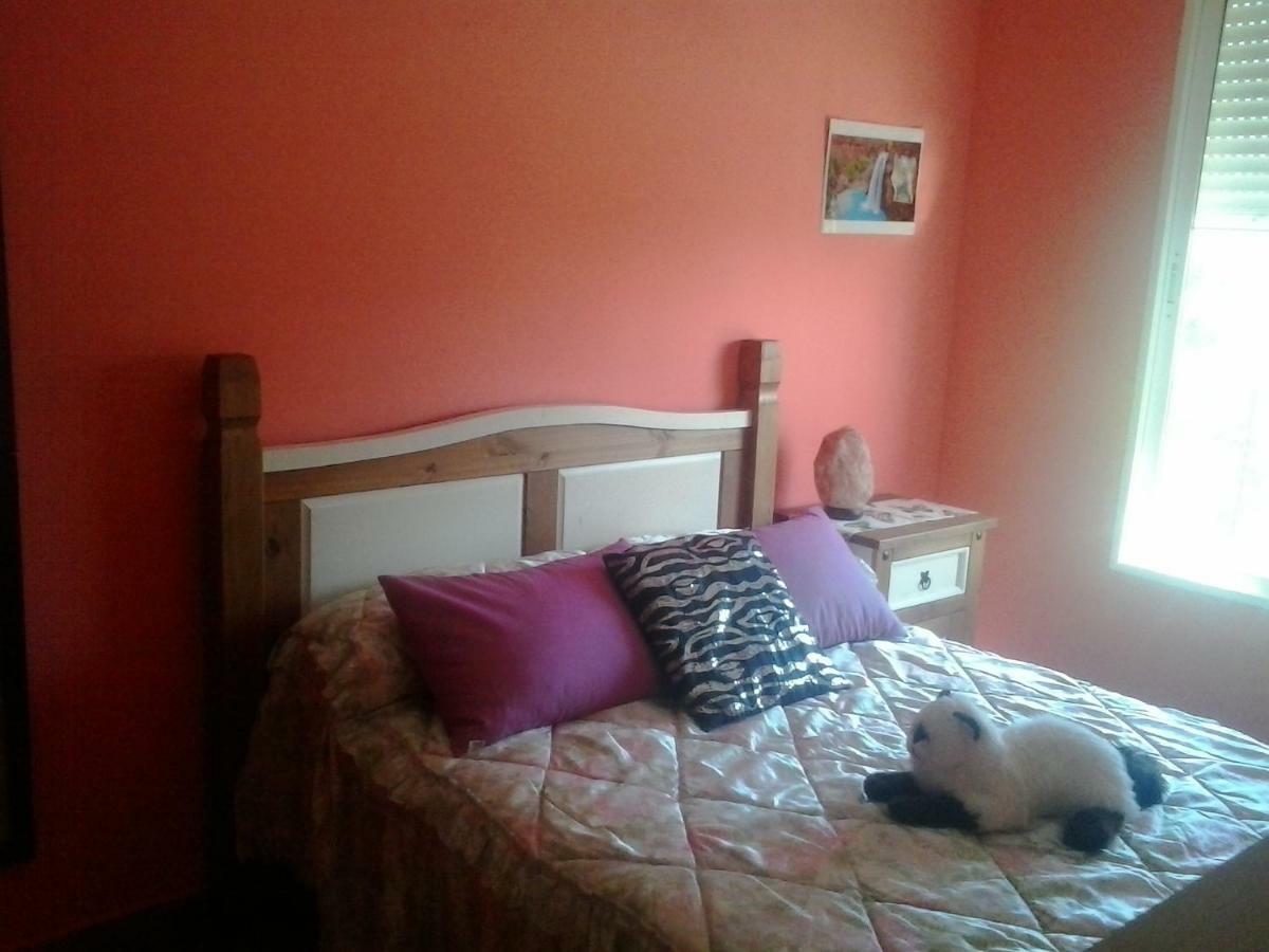 Acogedor Apartamento Canet De Berenguer Naturaleza Verde Y Playa Apartment *