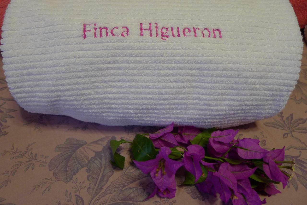 Homestay Finca Higueron *