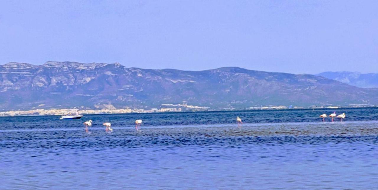 Ca Na Vinyet Holiday home
