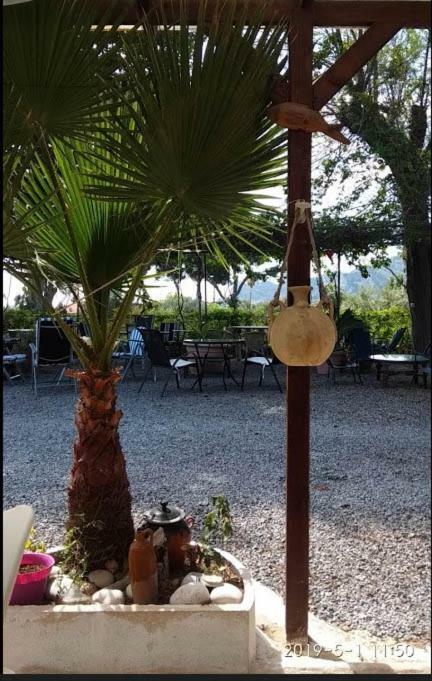 Santa Clara Campsite Altea