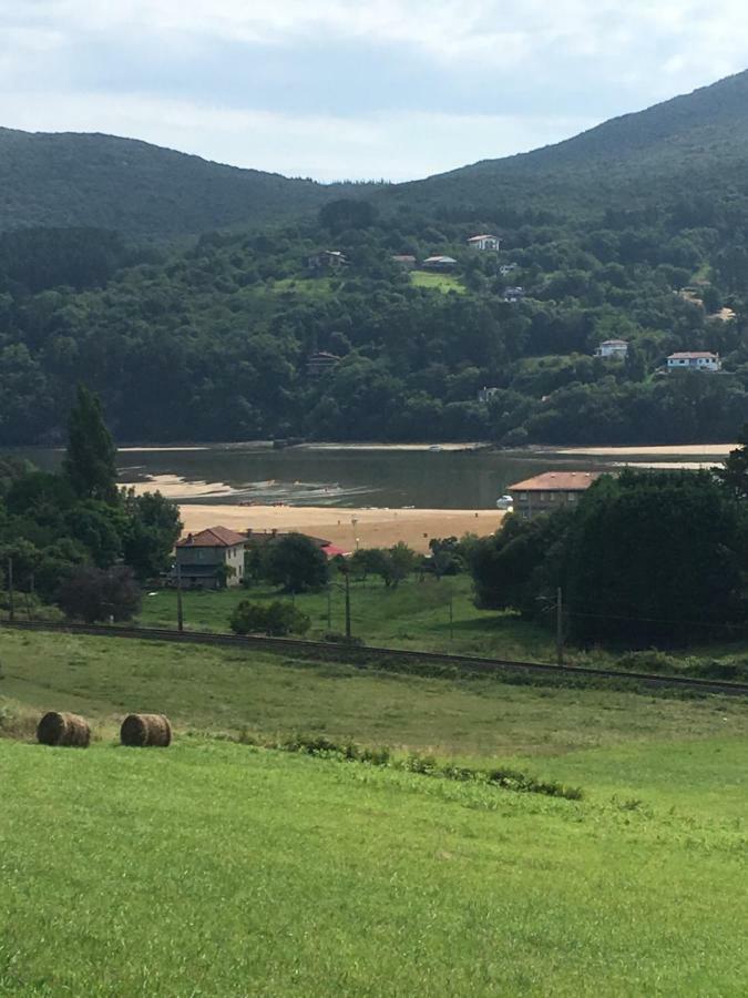 Urdaibai 4