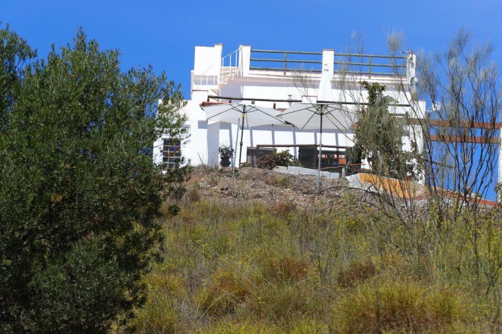 Bed and breakfast Casaluthel Torrox