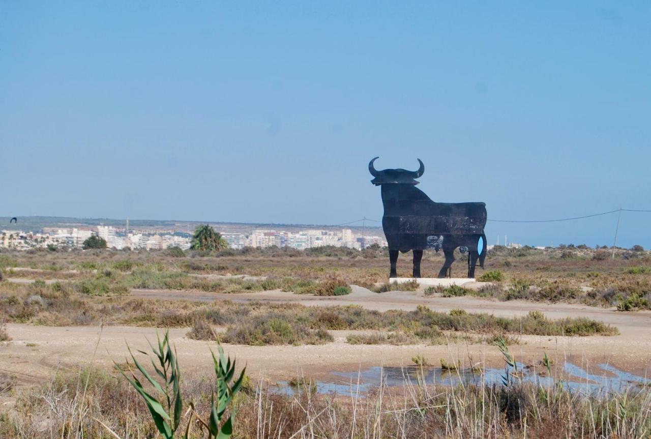 Casa Punta Prima I Holiday home *