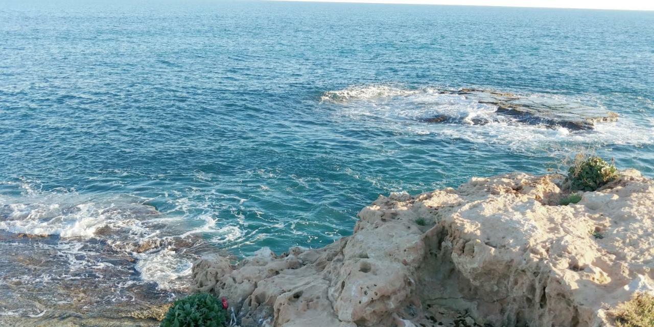 Estudio Jardín Del Mar