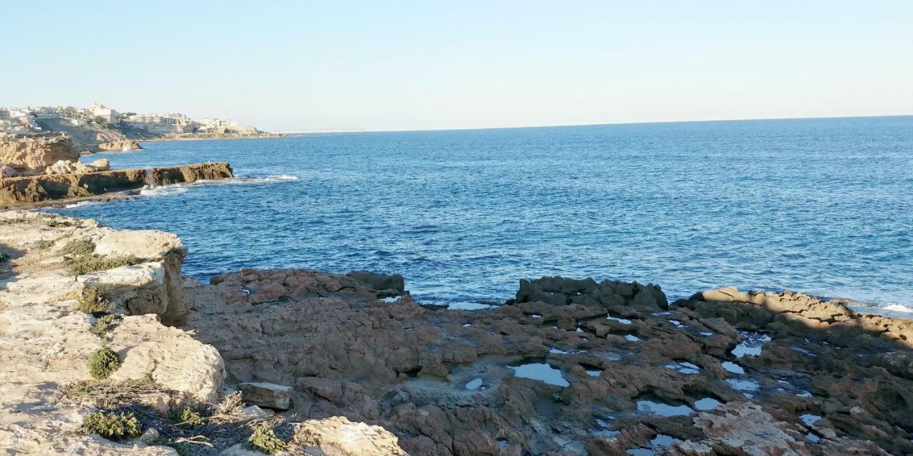 Estudio Jardín Del Mar Apartamento