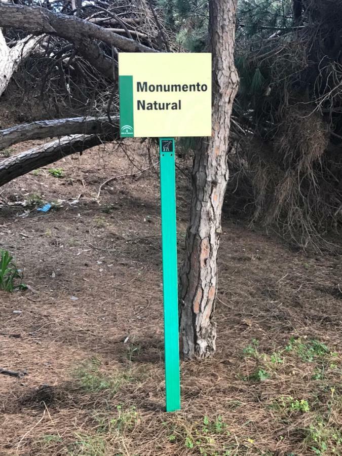 Apartment En Algun Lugar Del Mundo