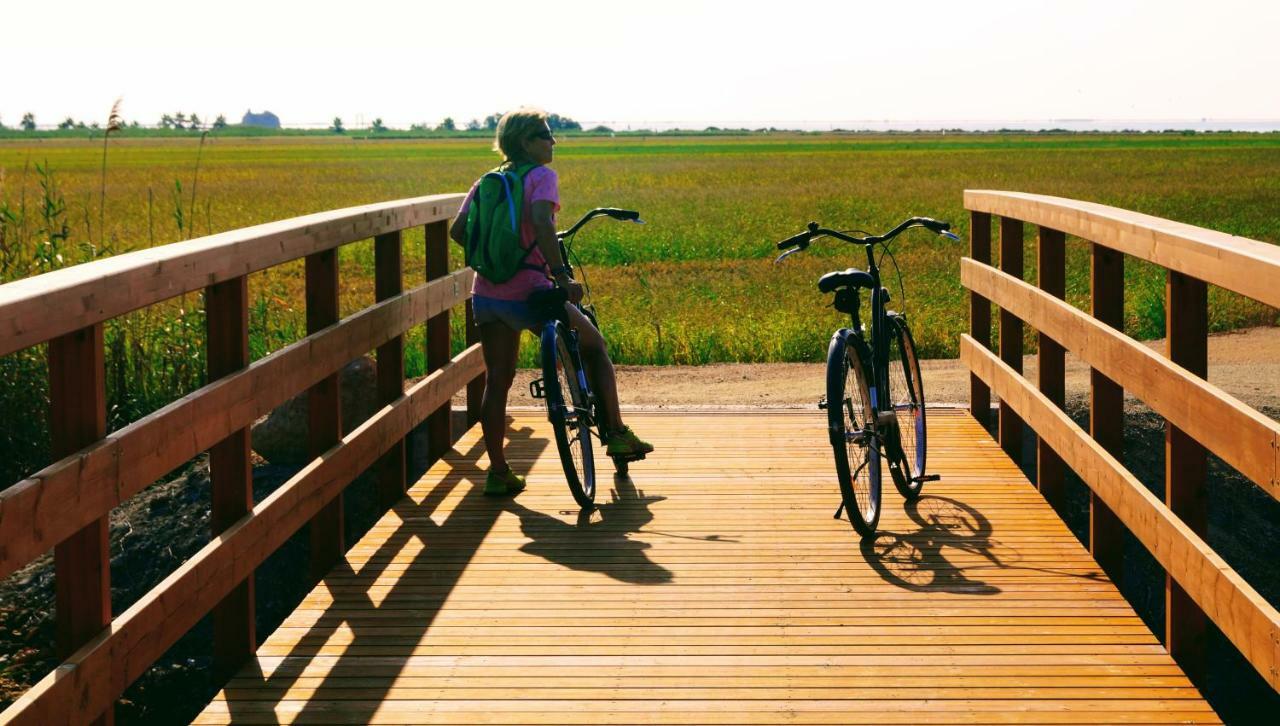 Ca Na Vinyet Holiday home El Poblenou del Delta