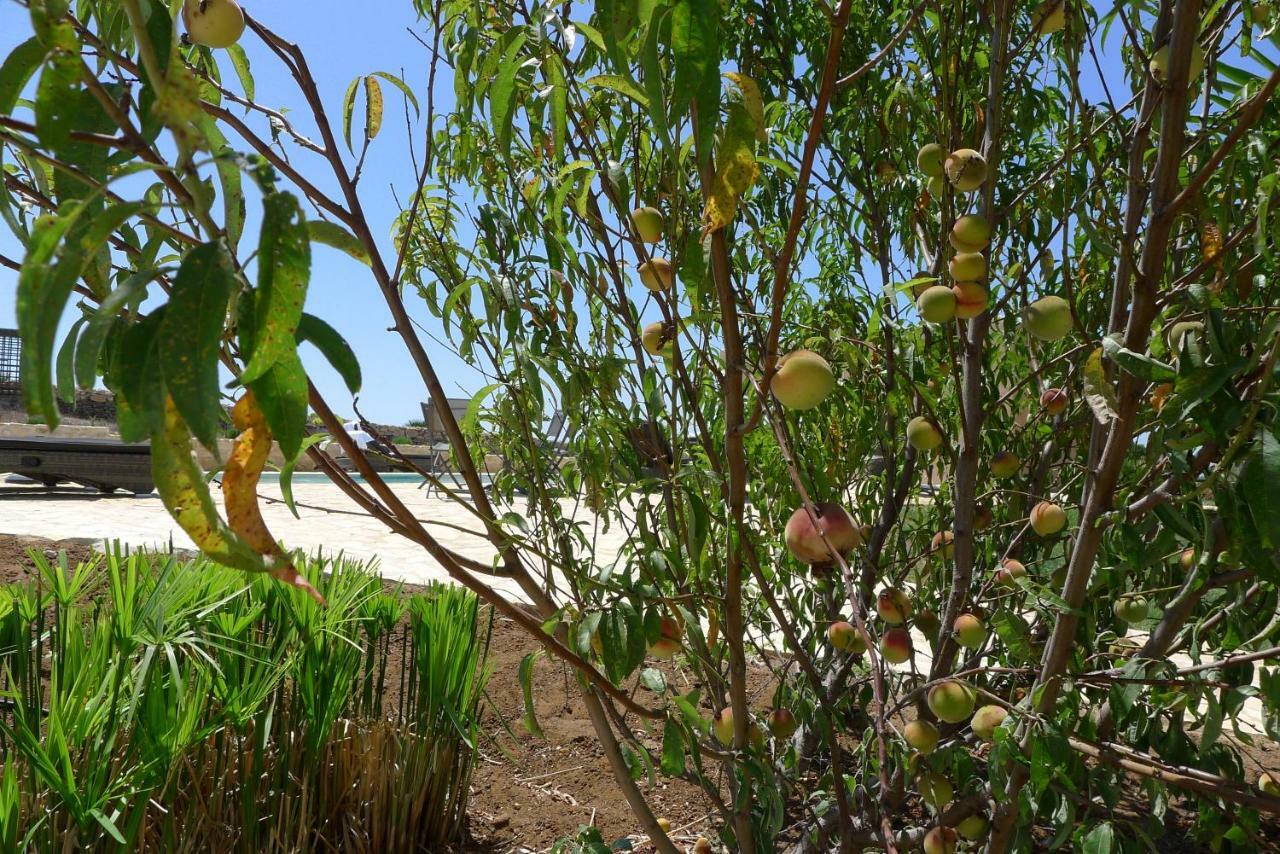 Finca Higueron Homestay