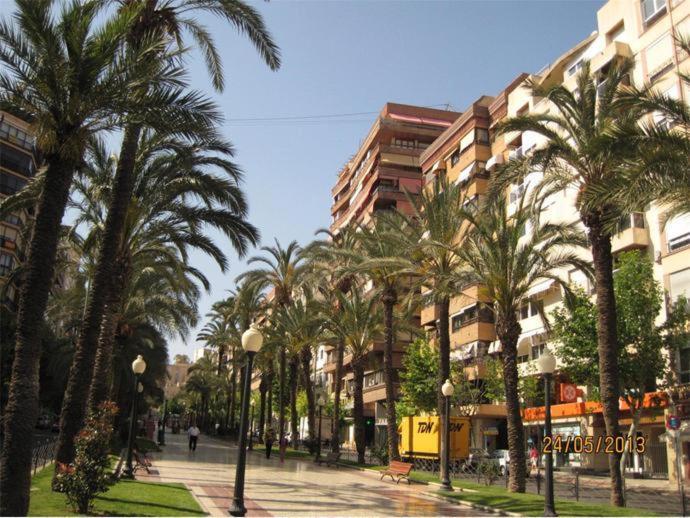 Sunny Apartments, Centre Apartment *