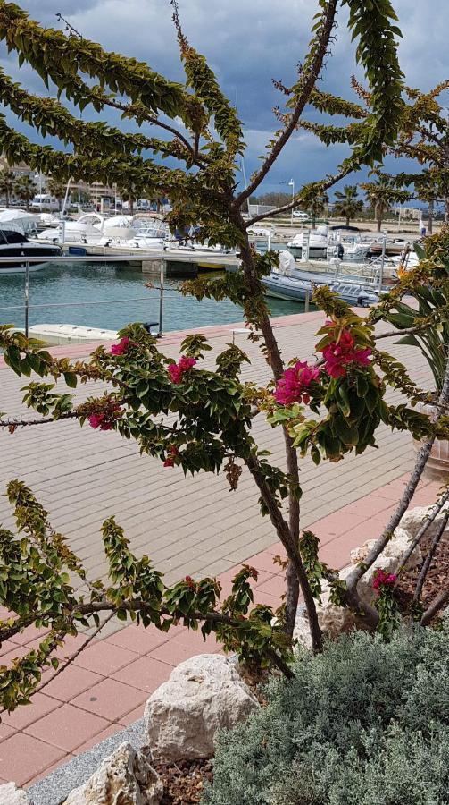 Homestay Chez Berna - Se Alquila Denia