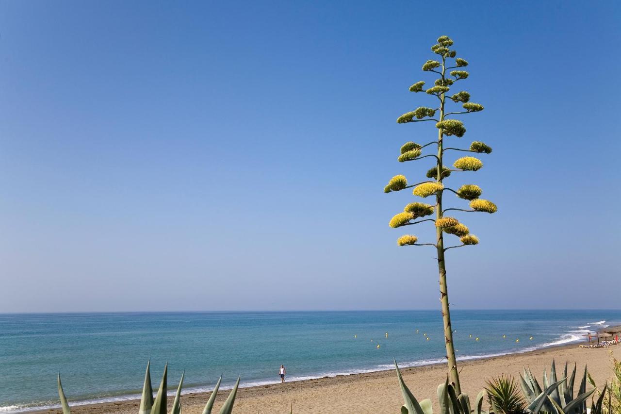 Heaven Apartments, Apt 402 * Estepona