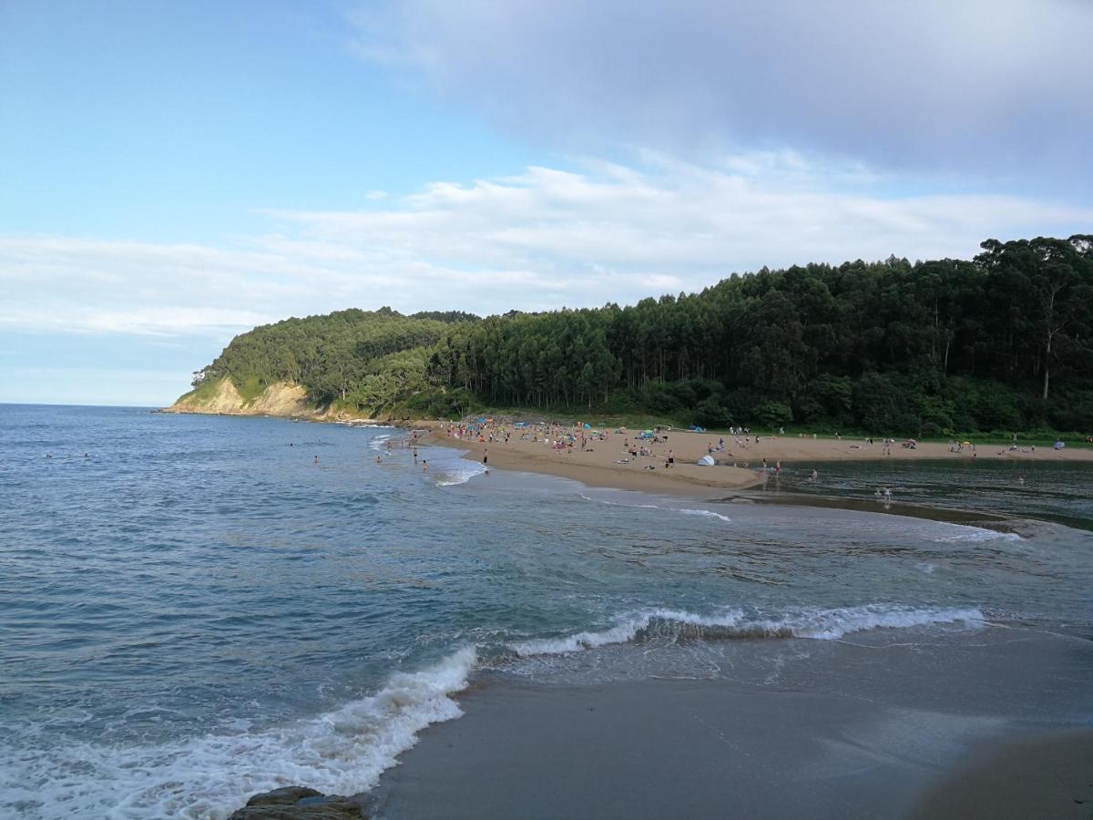 Vv Primera En Casona Tipica Asturiana *