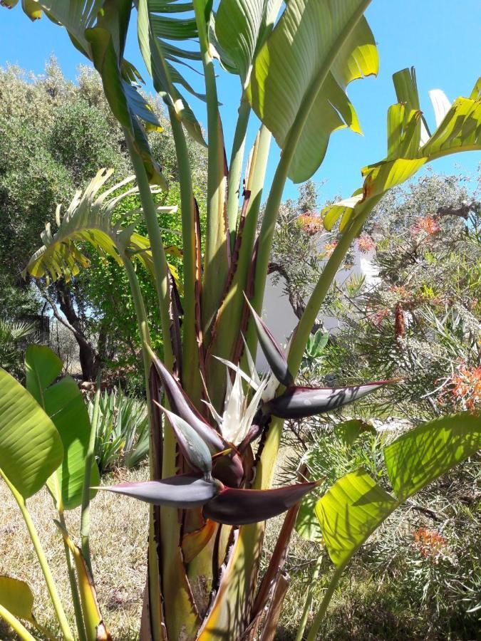 Roca Vista, Adults Only Bed and breakfast Alhaurín el Grande