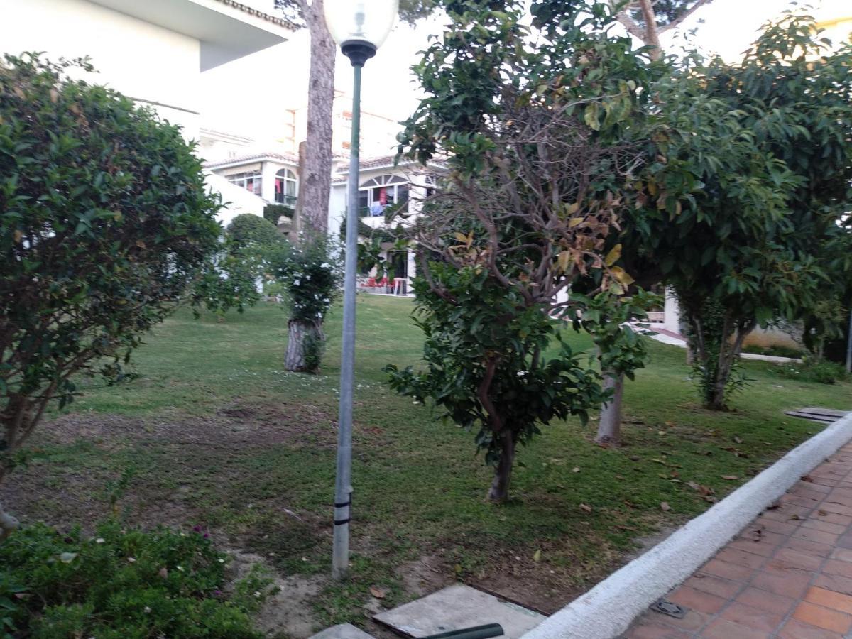 La Orquidea Apartamento