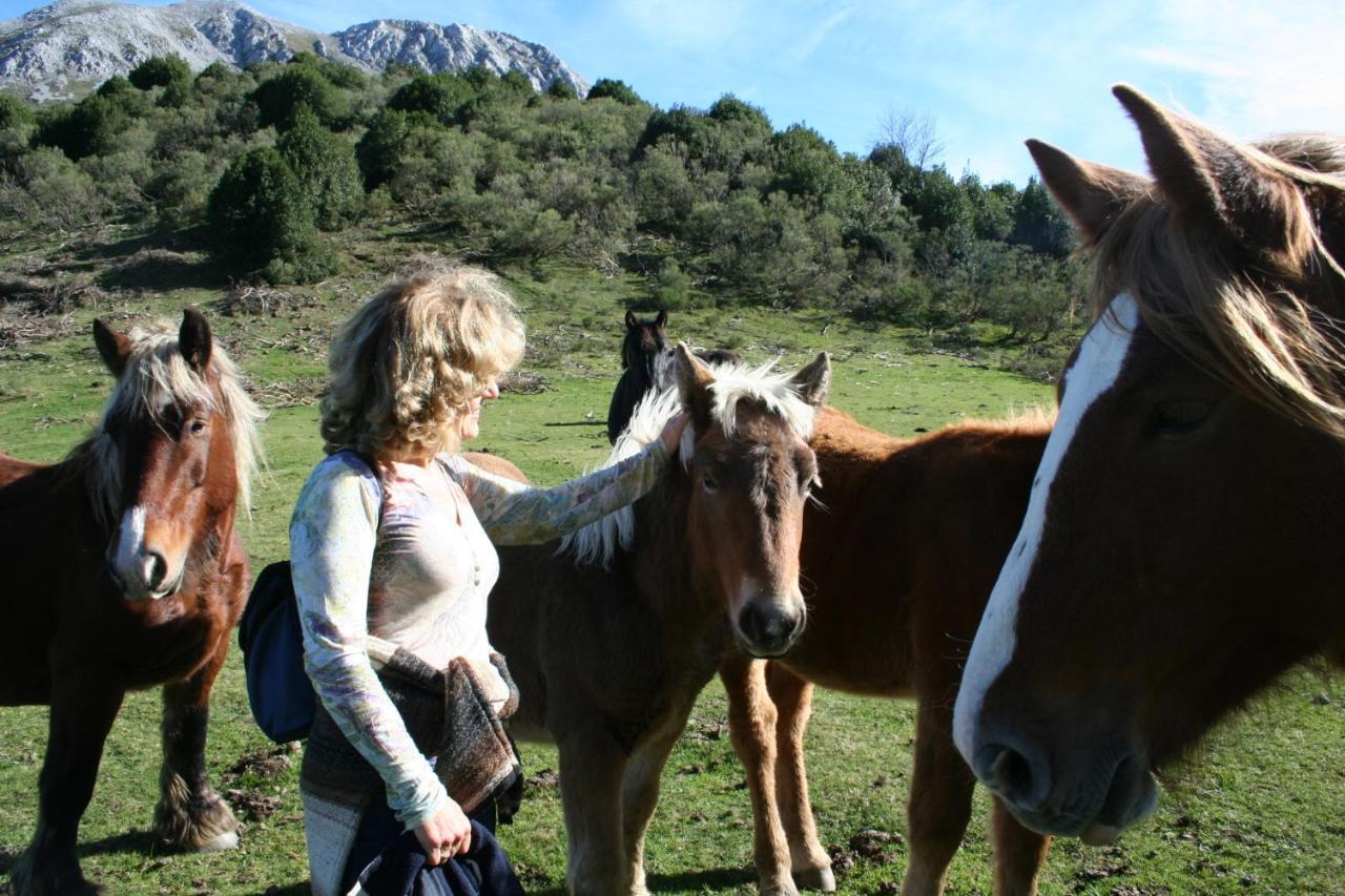 La Matuca, Senda Del Oso, Asturias Сasa de vacaciones *