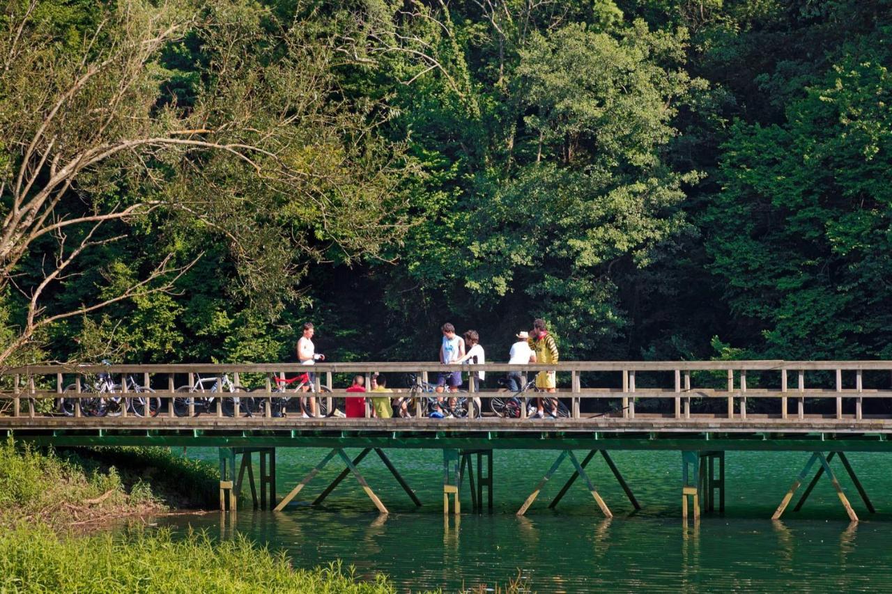La Matuca, Senda Del Oso, Asturias * Faedo